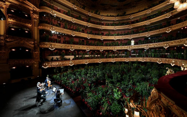 Barcelona: Artyści zagrali koncert dla tysięcy roślin