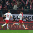 Po meczu Polska - Słowenia: Przypłynie statek z trawą