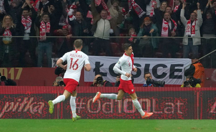 Po meczu Polska - Słowenia: Przypłynie statek z trawą