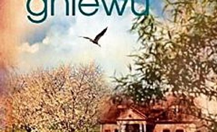 Lucie Di Angeli-Ilovan; „Żniwo gniewu”. Zysk i S-ka Wydawnictwo, Poznań 2011