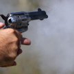 Poselskie pożegnanie z bronią
