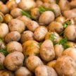 Ukraina kupuje w Arabii Saudyjskiej...kartofle