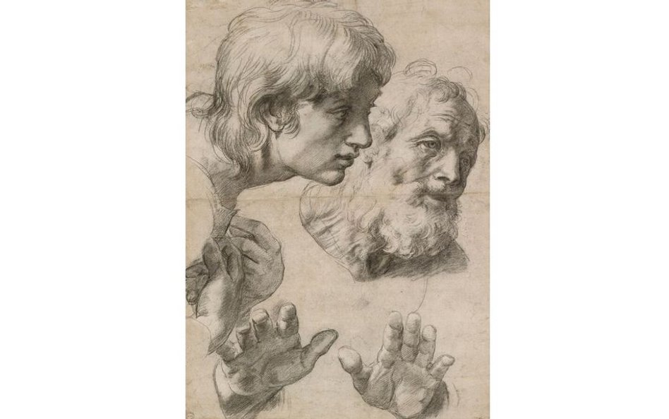 Studium Głowy i ręki, 1515-20