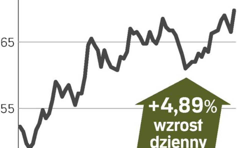 Mniejsza strata uspokoiła inwestorów