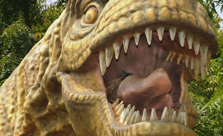 T. rex i jego rodzina – nowe drzewo genealogiczne