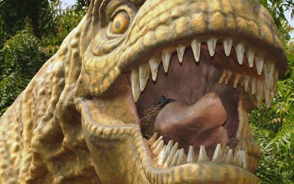 T. rex i jego rodzina – nowe drzewo genealogiczne