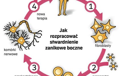 Cenne komórki do wynajęcia