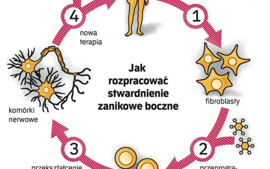 Cenne komórki do wynajęcia