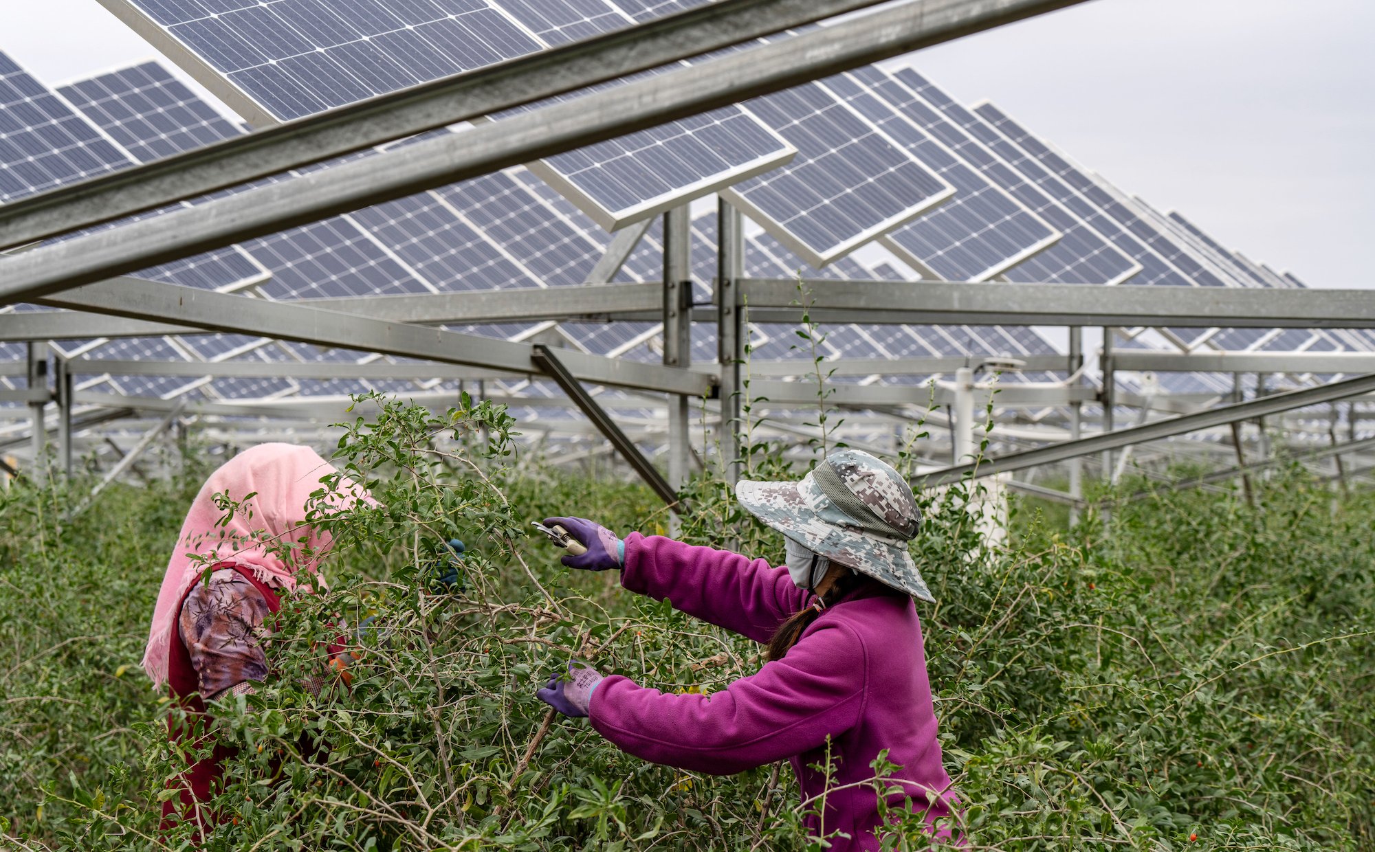 Nowy lider globalnej polityki klimatycznej. Chiny przestają ukrywać swe zamiary