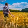 Sąd Najwyższy o emeryturach za pracę w gospodarstwie rolnym