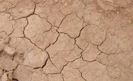 fot. the italian voice