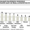 Firmy mają uwagi do łupkowych ustaw