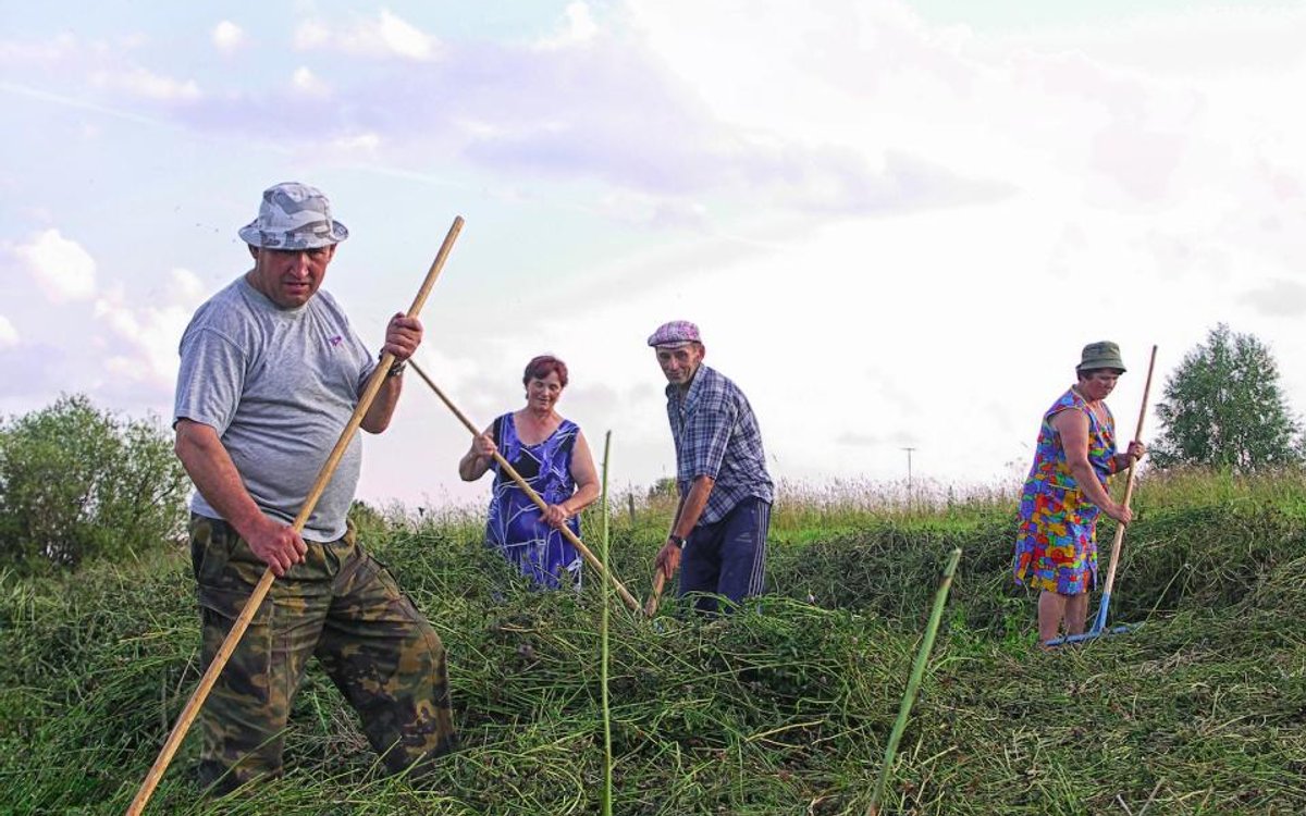 Ile powinny pracować rosyjskie kobiety na roli - rp.pl