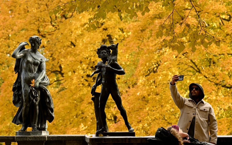 Carskie Sioło pod Petersburgiem