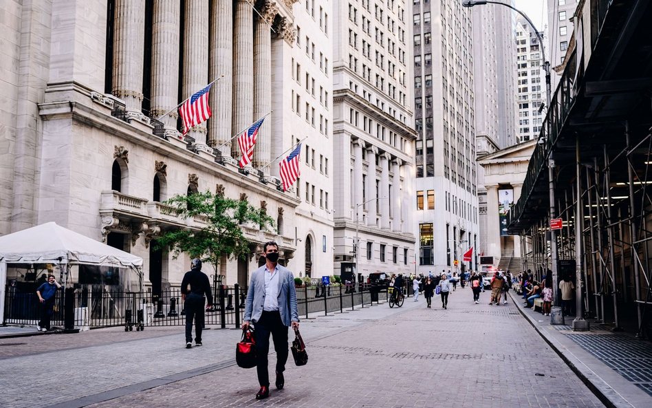 Kaczkozając kica po Wall Street