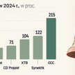 Spółki z potencjałem do portfela na 2025 rok. Na kogo stawiają analitycy?