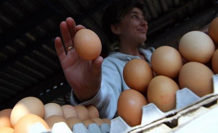 Wymiana klatek dla kur winduje ceny jaj