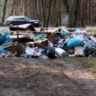 Zaostrzenie kar za zaśmiecanie. Petycja do rządu