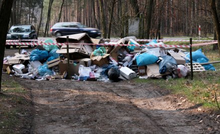 Zaostrzenie kar za zaśmiecanie. Petycja do rządu