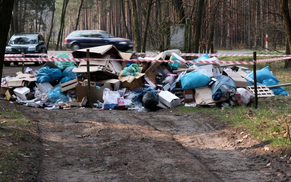 Zaostrzenie kar za zaśmiecanie. Petycja do rządu