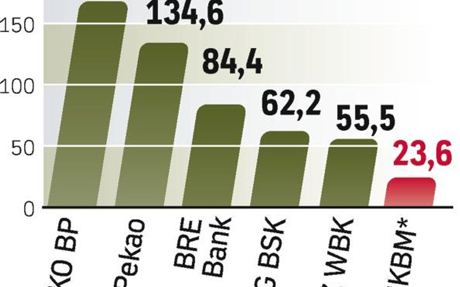 Słoweński NKBM jest dużo mniejszy niż czołowe polskie banki, dużo wyższe aktywa ma także czeski CSOB