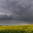 IMGW prognozuje w weekend w wielu regionach deszcz i burze