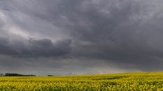 IMGW prognozuje w weekend w wielu regionach deszcz i burze