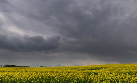 IMGW prognozuje w weekend w wielu regionach deszcz i burze