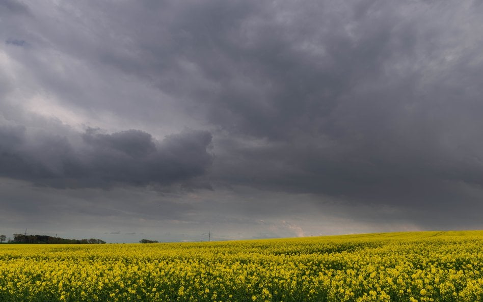 IMGW prognozuje w weekend w wielu regionach deszcz i burze