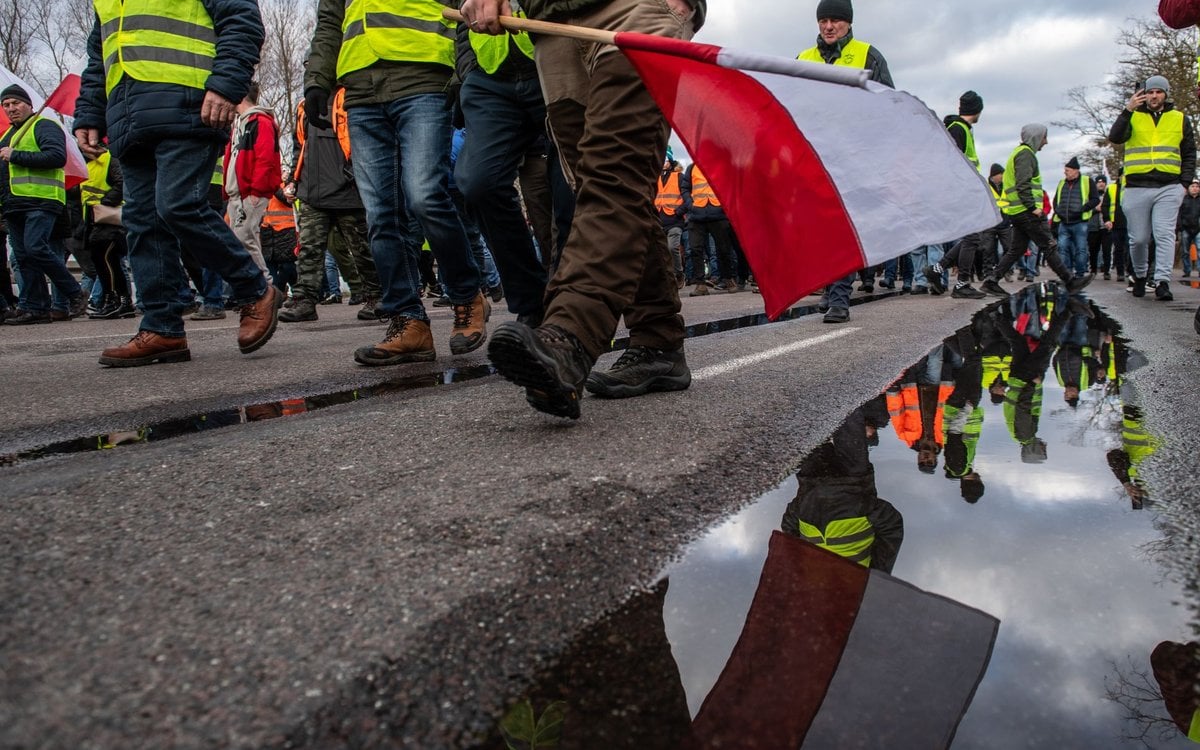 Protest rolników. Dlaczego polscy rolnicy protestują? Jeden z ich ...