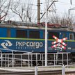 PKP Cargo nadal traci udziały w rynku