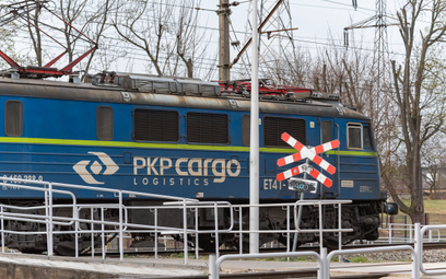 PKP Cargo nadal traci udziały w rynku