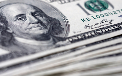 Amerykański dolar zaczął rok od pokazania inwestorom siły