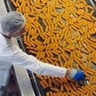 Produkcja paluszków rybnych w zakładzie firmy Frosta AG, producenta mrożonek, w Bremerhaven w Niemcz
