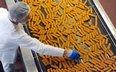 Produkcja paluszków rybnych w zakładzie firmy Frosta AG, producenta mrożonek, w Bremerhaven w Niemcz