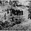Reprodukcja zdjęcia z ekshumacji zwłok w lesie katyńskim (ze zbiorów Muzeum Katyńskiego)