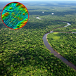 Pod lasem Amazonii kryją się ślady dawnych osad i konstrukcji ziemnych