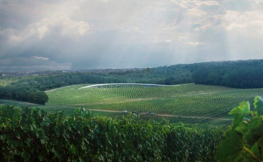 "Foster Partners winiarnia"