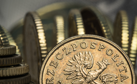 Złoty poddał się weekendowej atmosferze