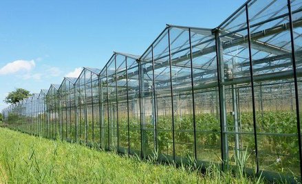 Protest sąsiada przeciwko budowie możliwy także w trakcie budowy