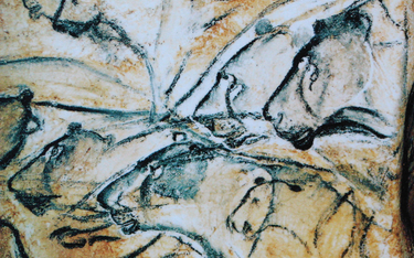 Wizerunki lwów – jaskinia Chauveta, położona w dolinie rzeki Ardèche (Francja), zawiera malowidła na