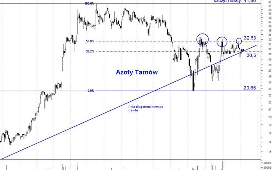 Azoty Tarnów: szansa na powrót do hossy