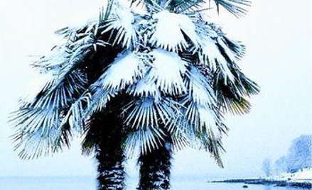 Numer 15(1050), 13-14 kwietnia 2013