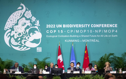 COP15: Jest porozumienie ws. ochrony bioróżnorodności. "Historyczny moment"