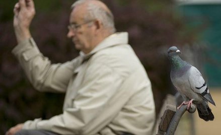 Jak wystąpić z OFE