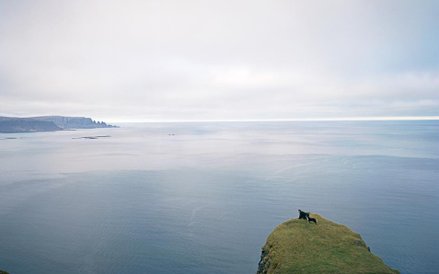 Projekt IS(not) fot. Jan Brykczyński