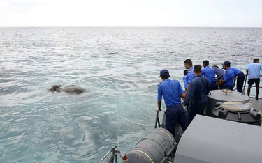 Sri Lanka: Słoń w morzu, interwencja marynarki wojennej