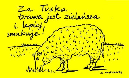 Komentarz rysunkowy