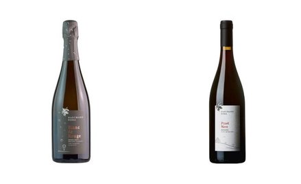 Wina Mazurka: Nie dla Beaty