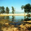 Wysychające jezioro Valles Caldera w Nowym Meksyku. Fot. leahleaf